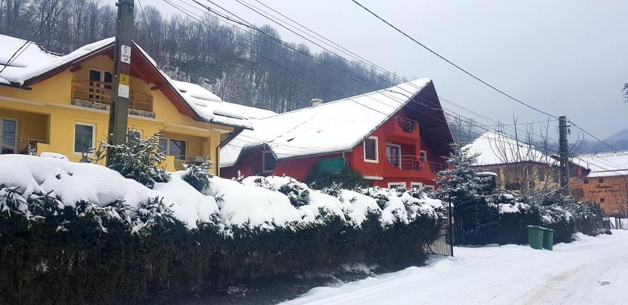 Pensiunea Marinela Sighetu Marmatiei Bagian luar foto