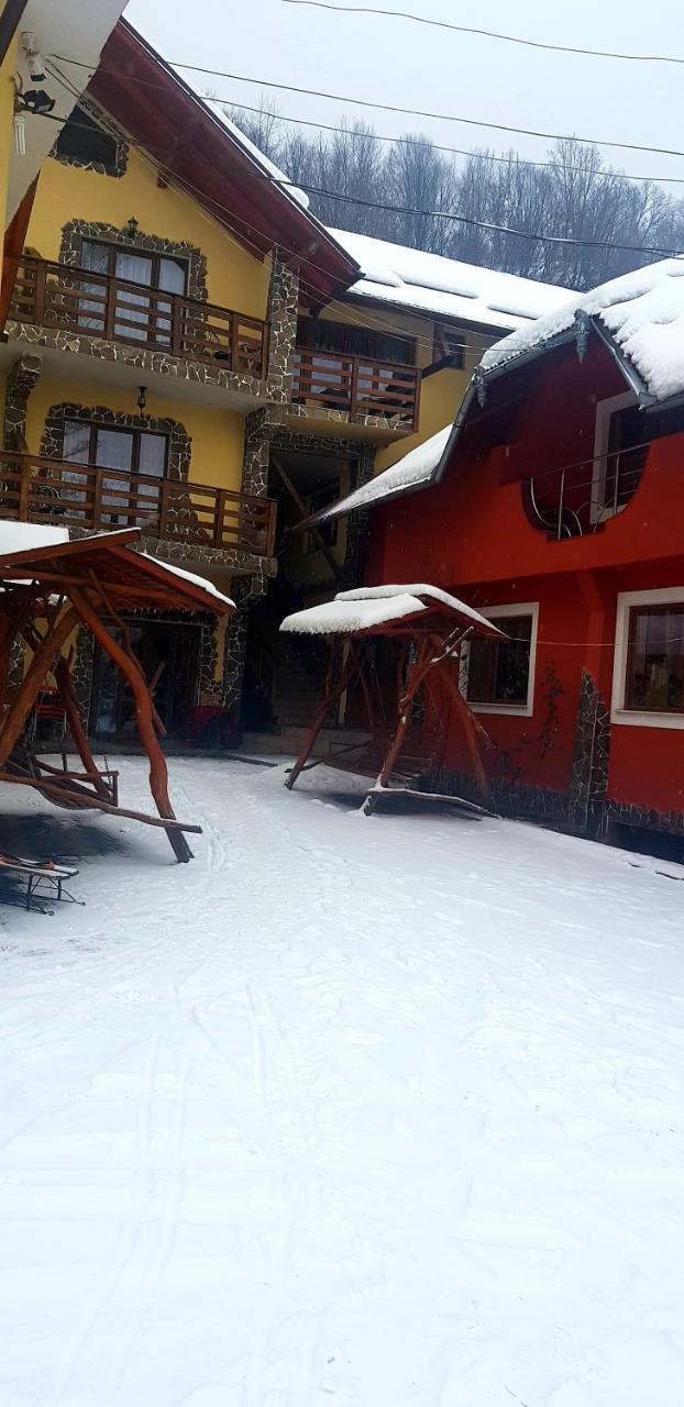 Pensiunea Marinela Sighetu Marmatiei Bagian luar foto